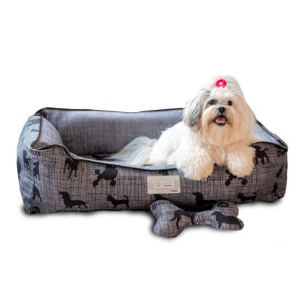 Caminha Pet FIR
